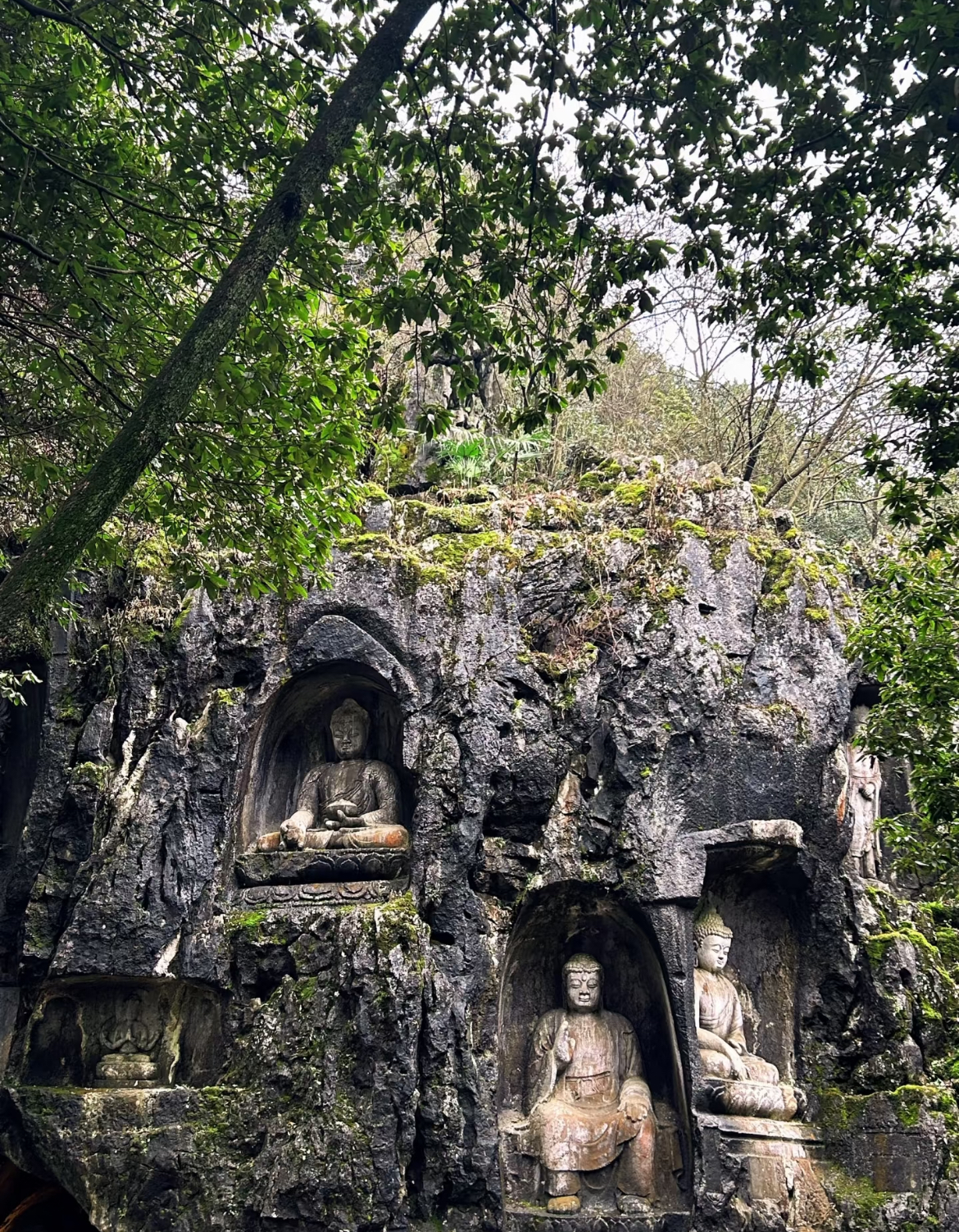杭州靈隱寺飛來峰+安縵古村漫步+3H專業導遊講解服務