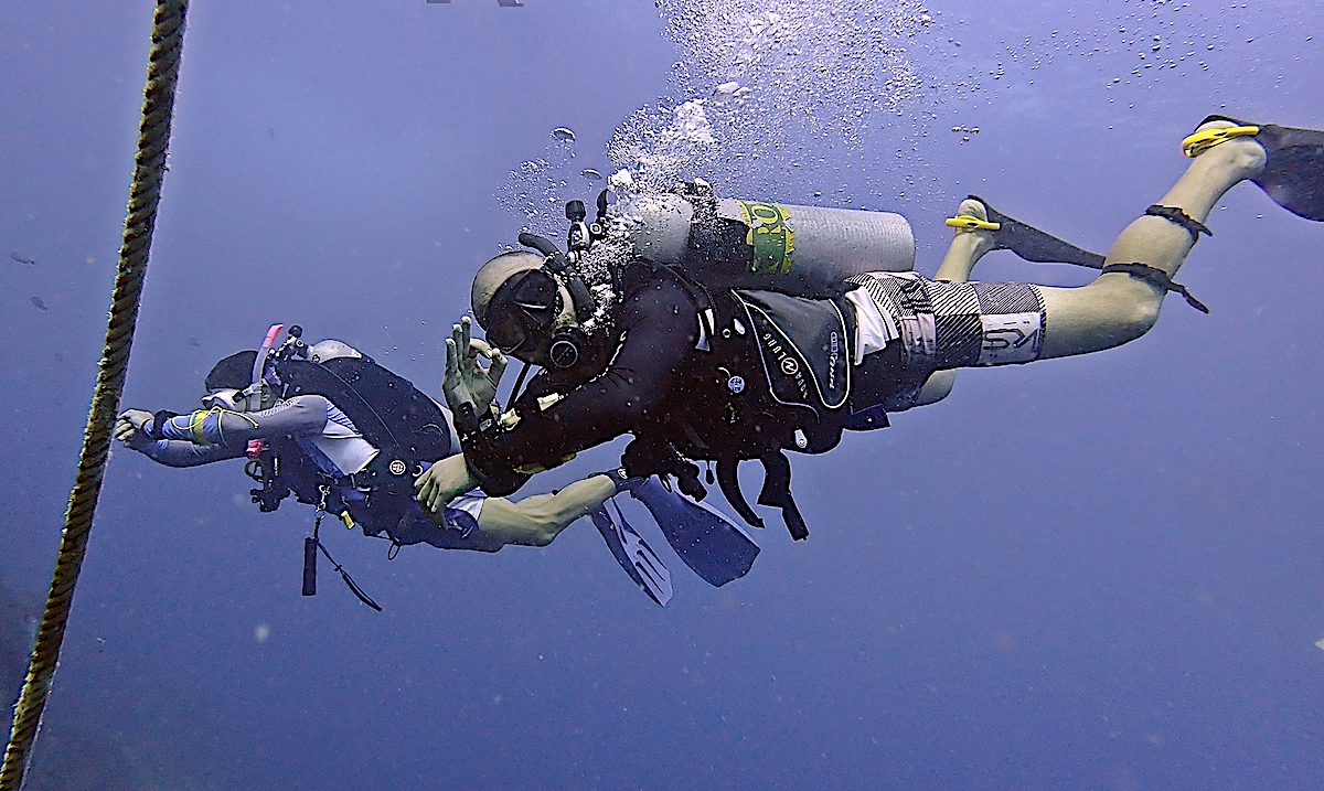 Morning Dive Trip in Koh Tao with PADI 5 Star CDC