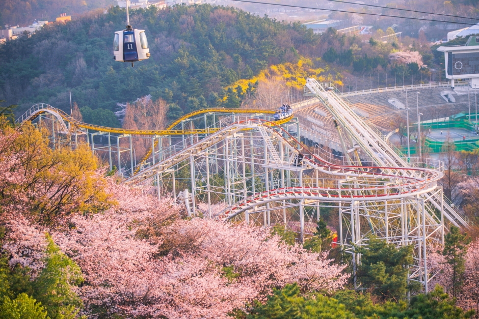 大邱E-World樂園 / 83塔 & 西門市場夜市 & 八公山纜車 & 植物園一日遊