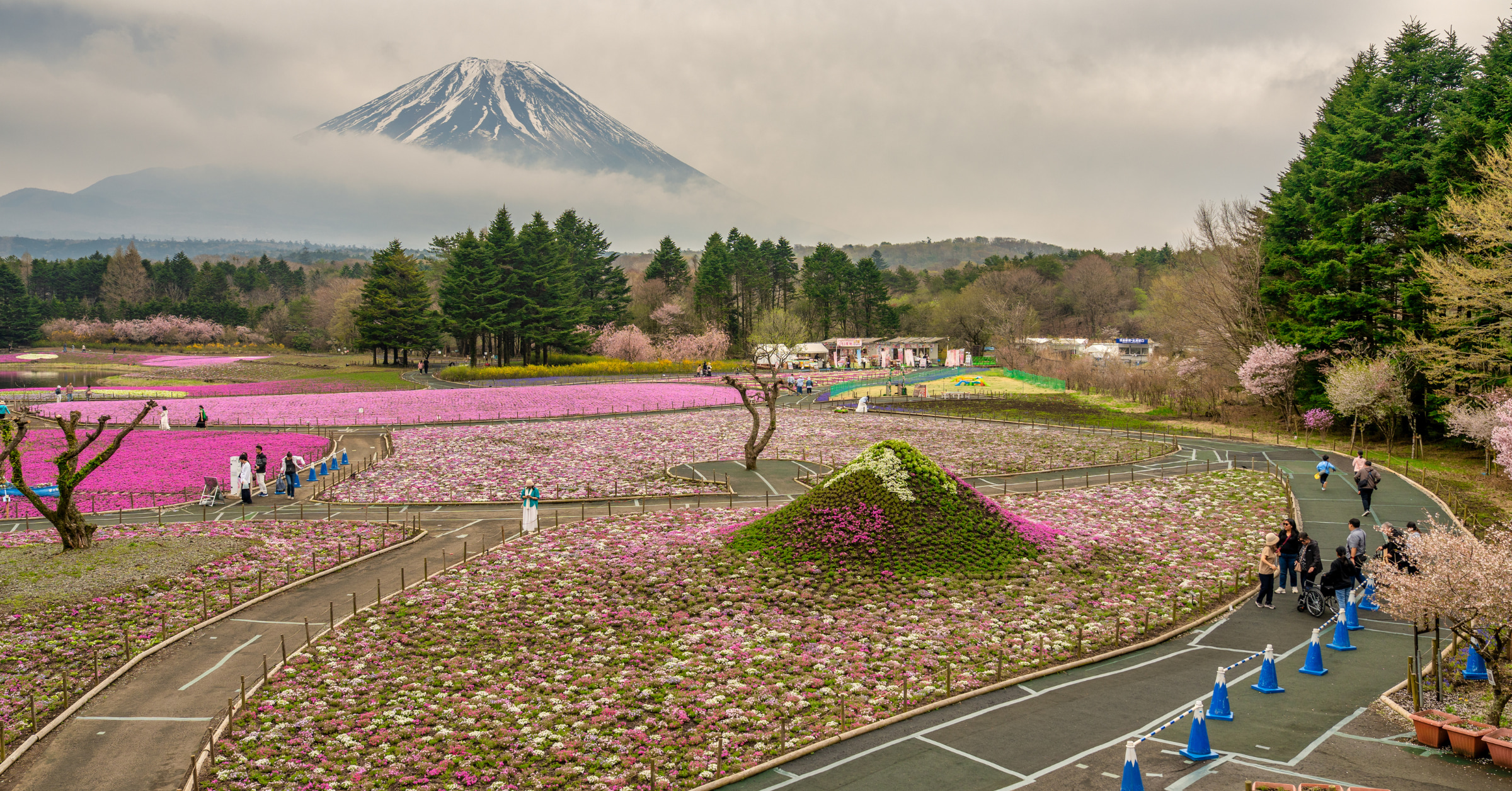 富士山私人定製一日遊（東京出發）
