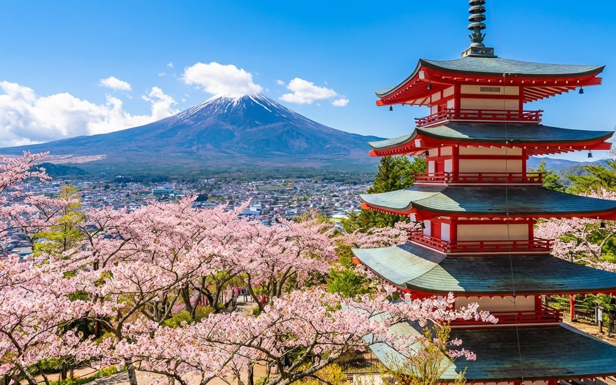 Mount Fuji Scenic Photo Tour: Lake Yamanaka Swan Feeding & Oshino Hakkai & Lawson Convenience Store & Lake Kawaguchi Oishi Park & Nikawa Tokei-ten & Arakurayama Sengen Park (From Tokyo)