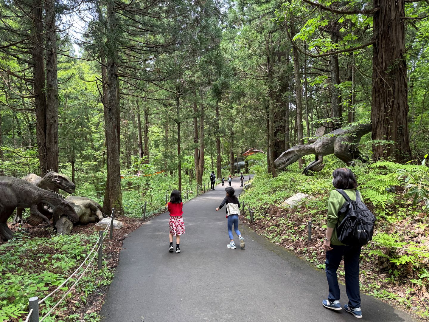 ※自選活動：博物館園區內有一片廣闊的「恐龍森林」。需提前預約，將收取額外費用，且不包含在旅遊價格中。