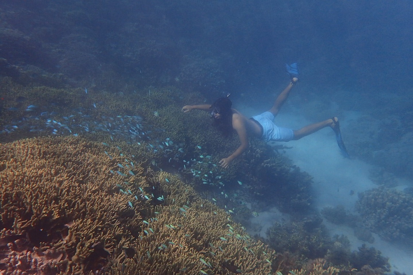 Best Freediving Tour in Guam