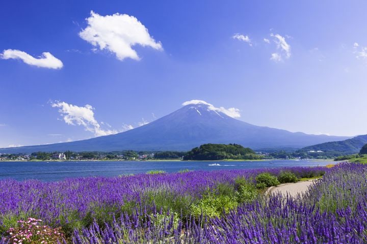 富士山箱根網紅打卡/蘆之湖遊船一日遊 （東京出發）