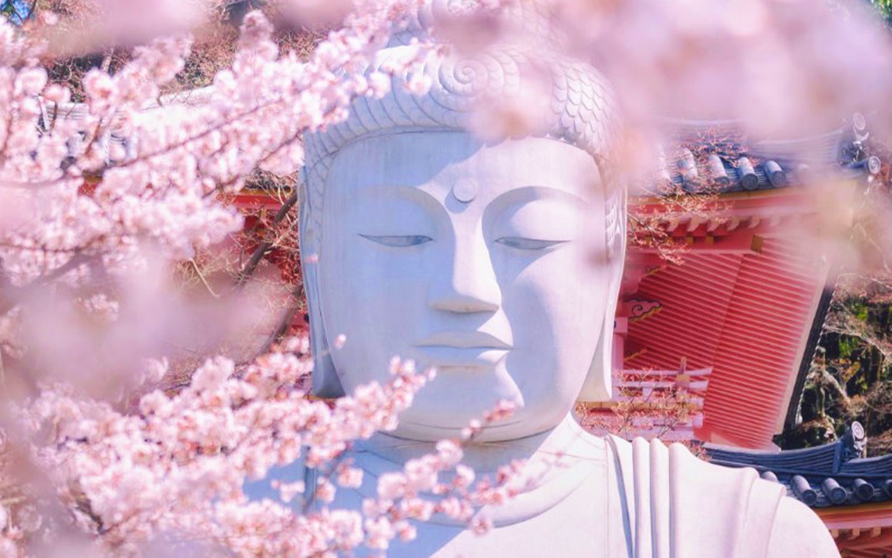 One-day tour of Osaka Tsubosaka-dera Temple, Matabei Sakura, Nara Park, and Kasuga Taisha Shrine.