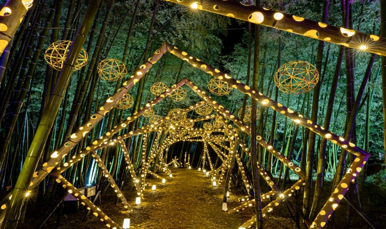 Kumamoto Lux Night 2025 & Reigando Cave with Higo Akaushi Beef