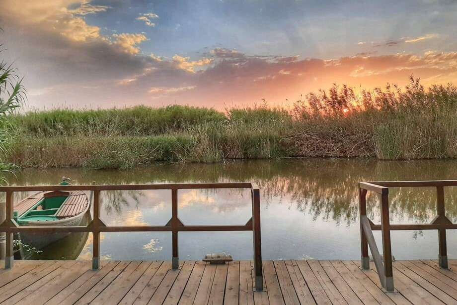 Albufera Natural Park Day Tour from Valencia