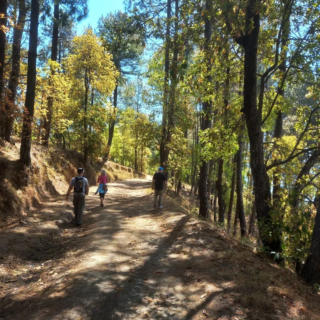 1天納加闊特徒步旅行。納加闊特（Nagarkot）位於巴克塔普爾（Bhaktapur）區