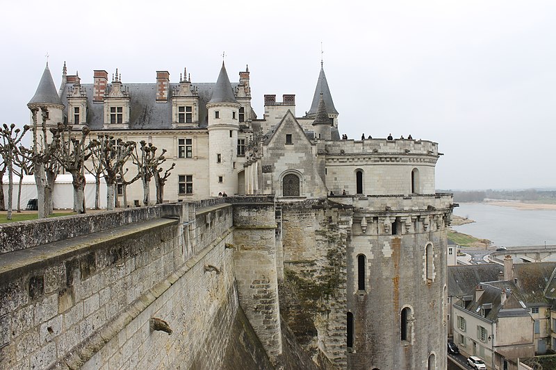 Loire Castles Day Trip and Wine Tasting Private trip from Paris