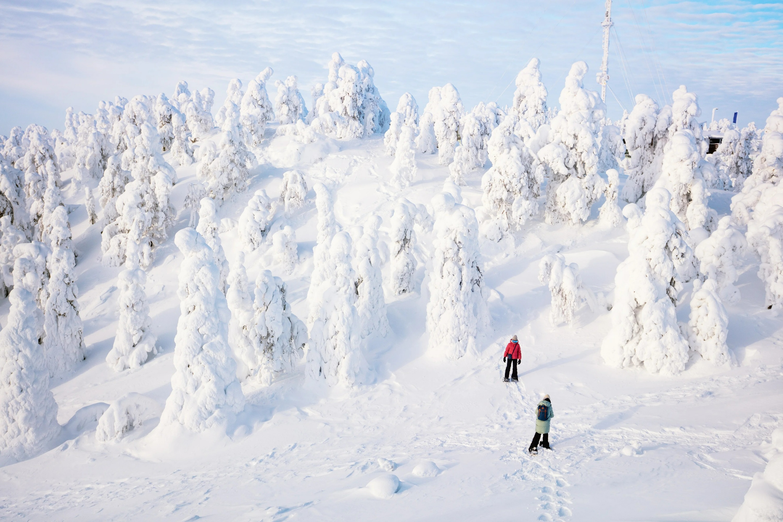 Lapland Hiking and Snowshoeing Tour from Rovaniemi