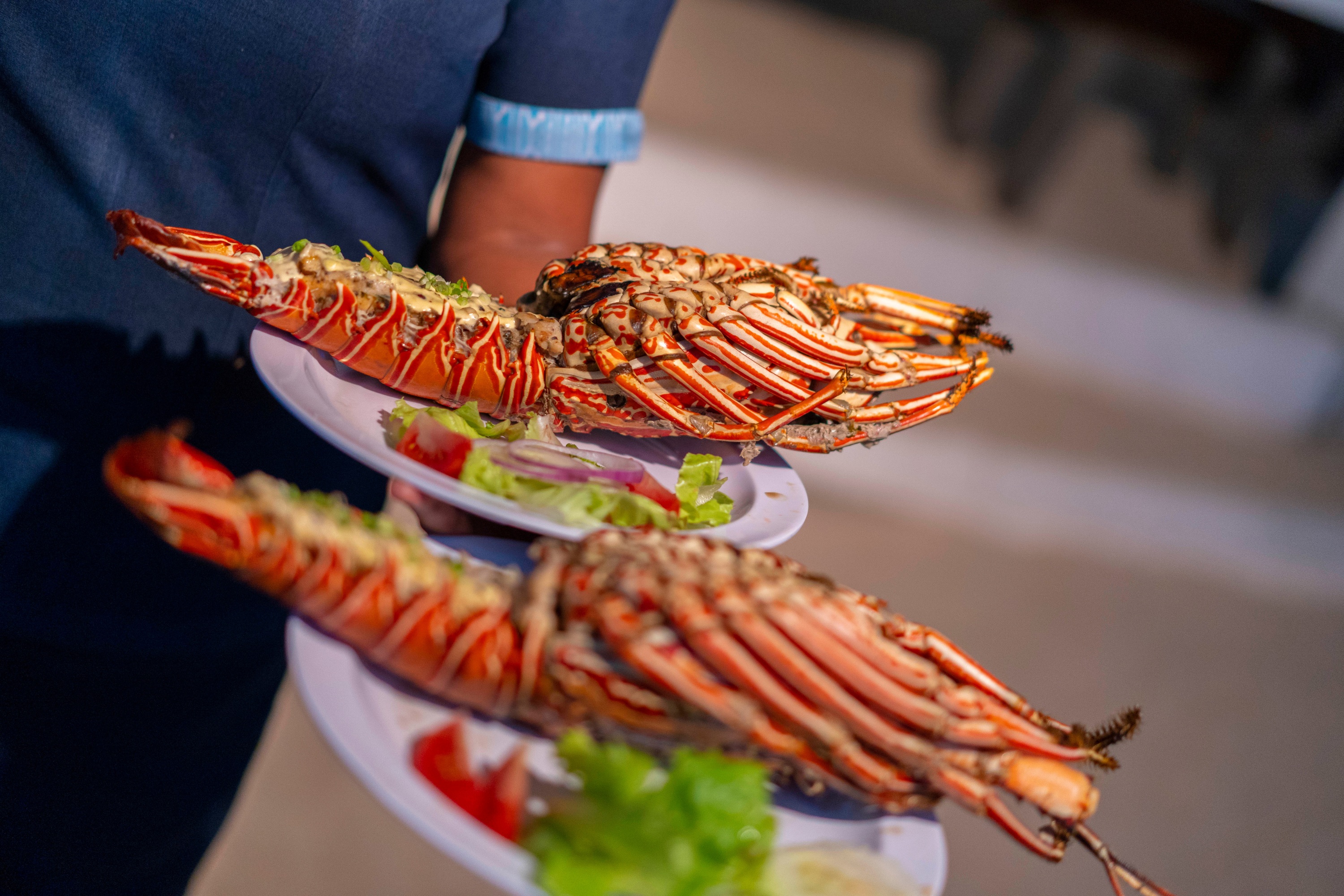 可加購升級龍蝦餐