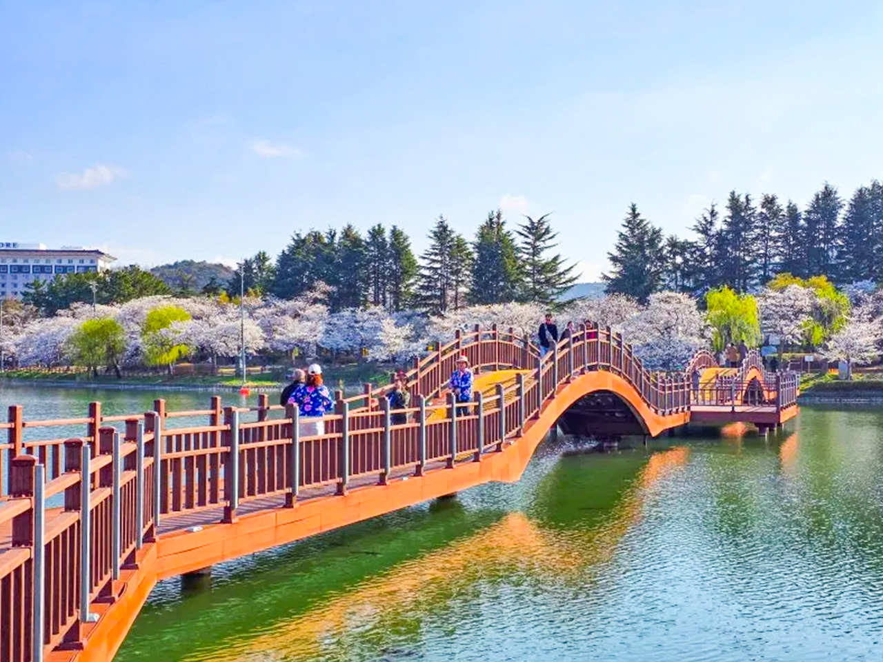 Весеннее путешествие по цветению сакуры из Пусана в Гёнджу