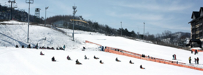 平昌 Alpensia 阿爾卑西亞滑雪度假村2天1夜之旅