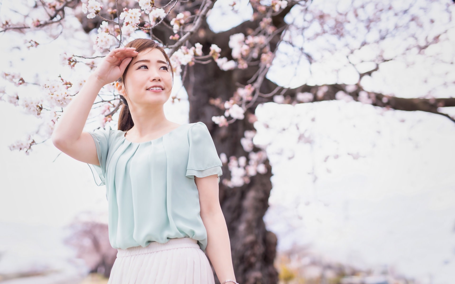 Snapshot Photography Experience (Aomori)