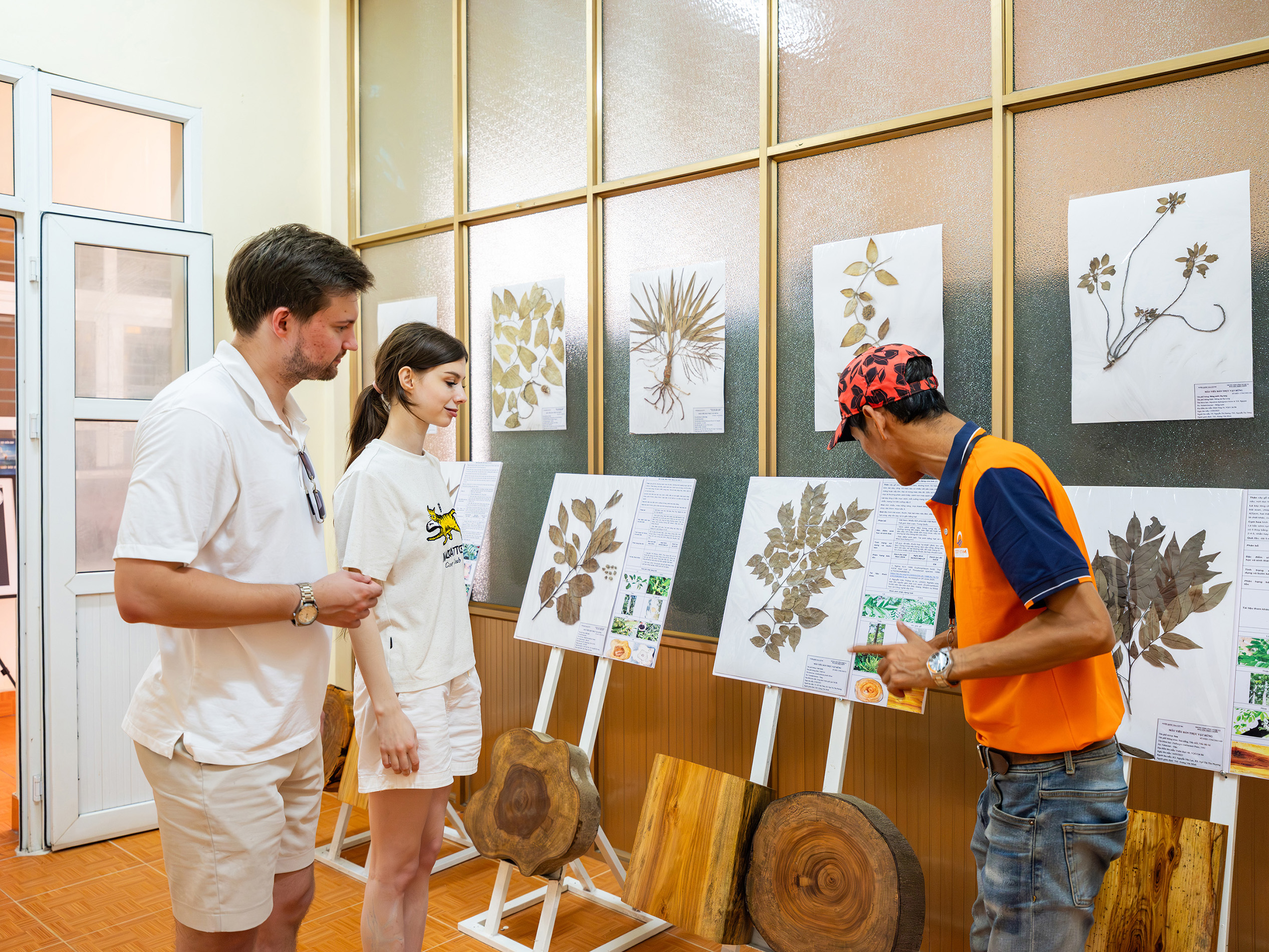 探索吉婆國家公園自然歷史博物館中,豐富多樣的動植物生態。 探索吉婆國家公園自然歷史博物館中,豐富多樣的動植物生態。