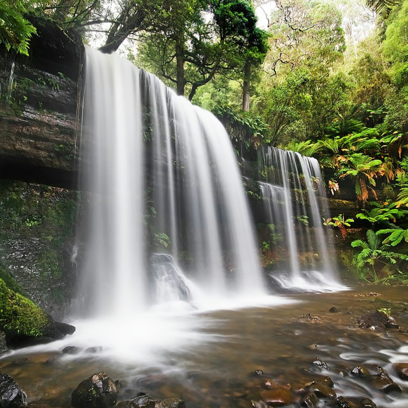 Tasmania Hobart Mount Field National Park Day Trip