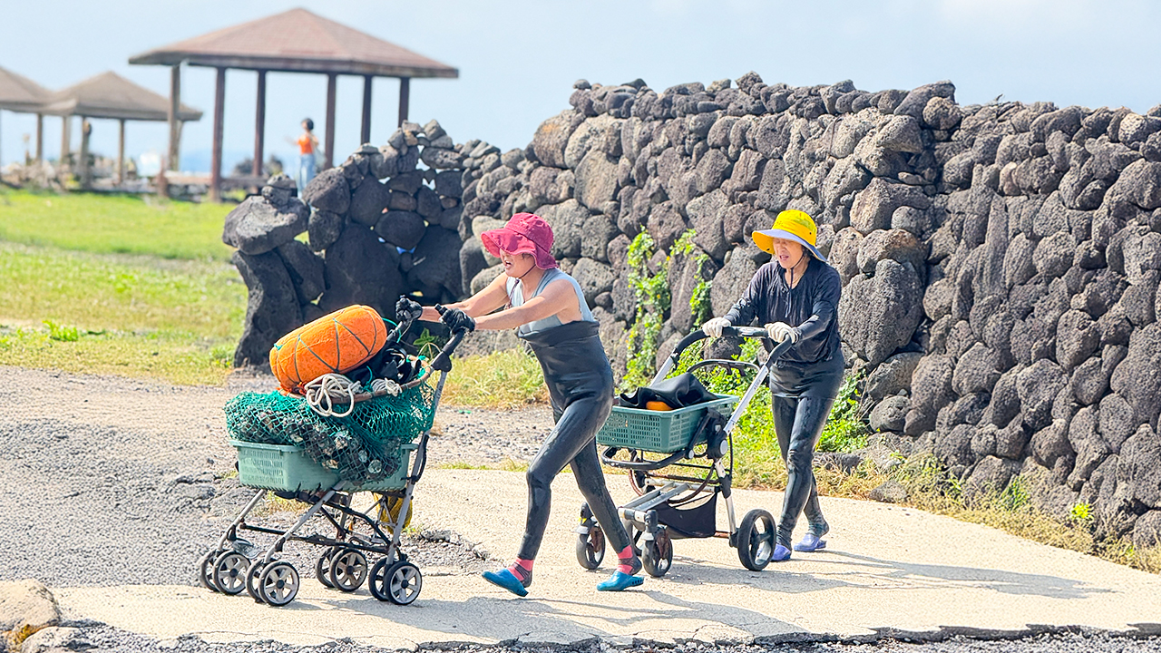 觀賞濟州海女無所畏懼地潛入海中，延續數百年來堅韌不拔的傳統精神。