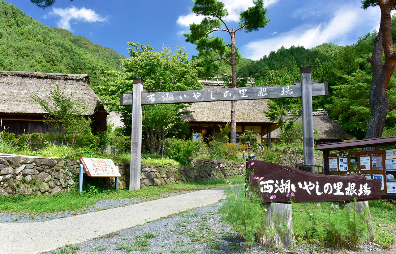 富士山探索之旅｜新倉山淺間公園·天梯小鎮·忍野八海·河口湖大石公園·西湖療愈里根場一日遊