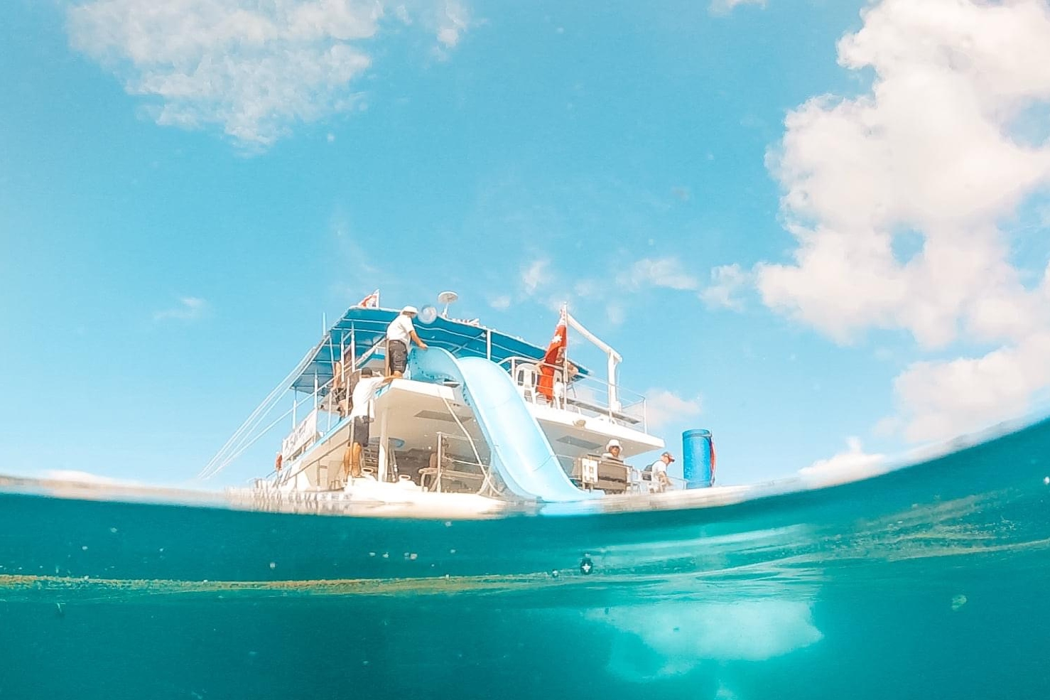 Port Stephens Splash and Slide Dolphin Cruise Experience