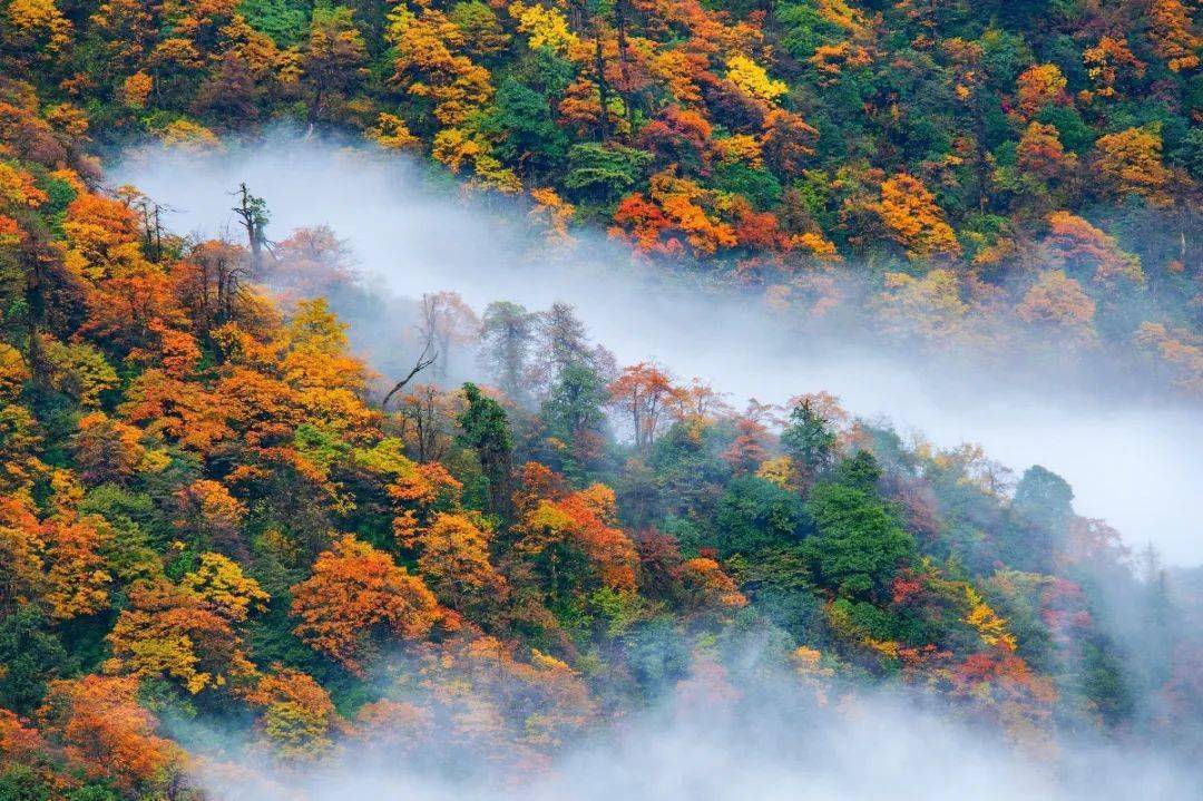 成都瓦屋山風景區門票