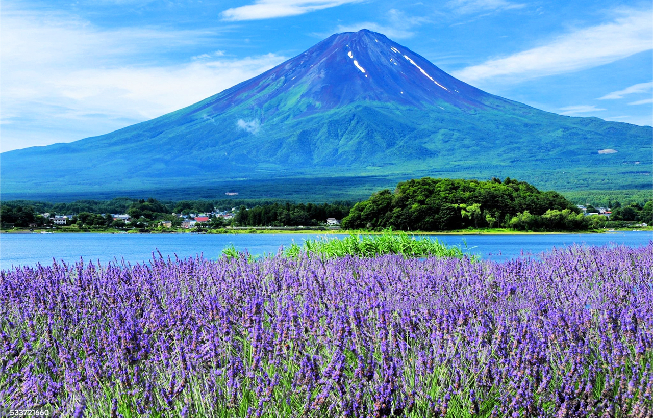 網紅打卡勝地-新倉山淺間公園&日川時計店&忍野八海&河口湖大石公園&河口湖楓葉迴廊