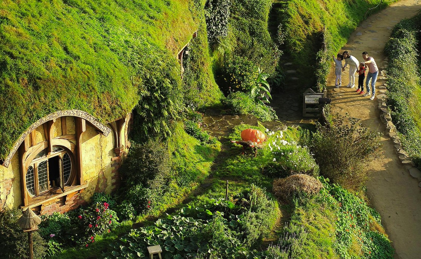 hobbiton and waitomo day tour