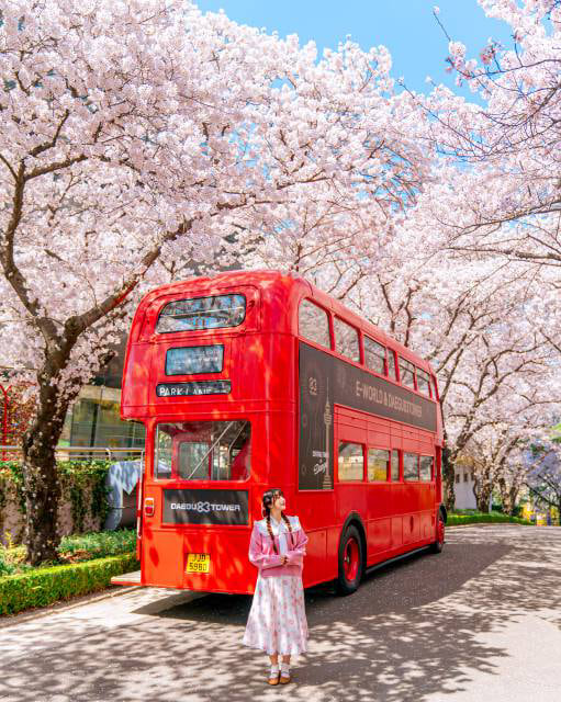 在大邱 E-World 主題樂園,探索夢幻般的社群媒體打卡點,櫻花盛開,每個角落都為您下一個爆紅春日美照完美打造。 在大邱 E-World 主題樂園,探索夢幻般的社群媒體打卡點,櫻花盛開,每個角落都為您下一個爆紅春日美照完美打造。