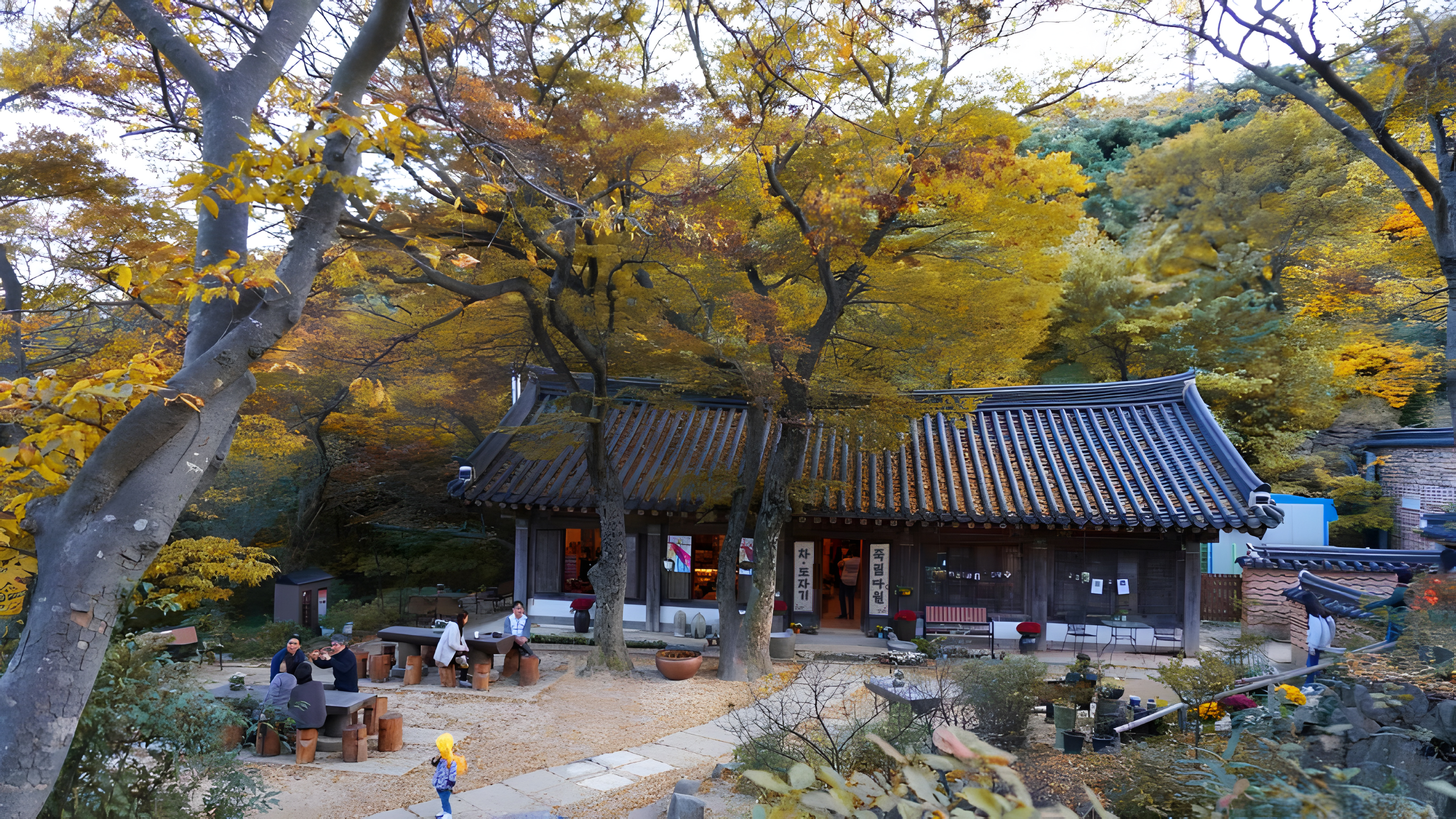DMZ 非軍事區一日遊（首爾出發）
