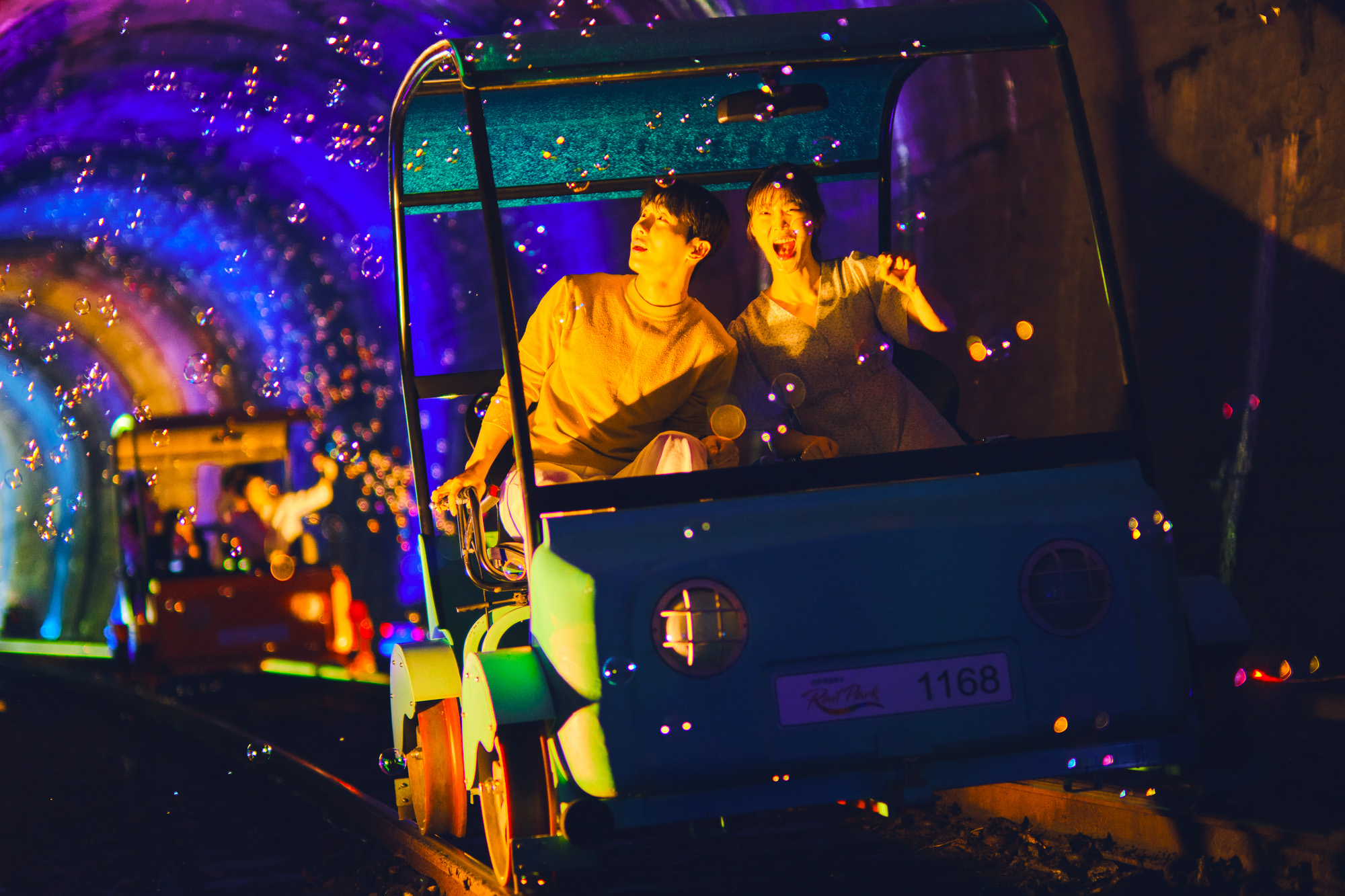 南怡島 (Nami Island)（快艇）/羊駝/鐵路自行車/晨靜樹木園 (Morning Calm) 私人旅遊