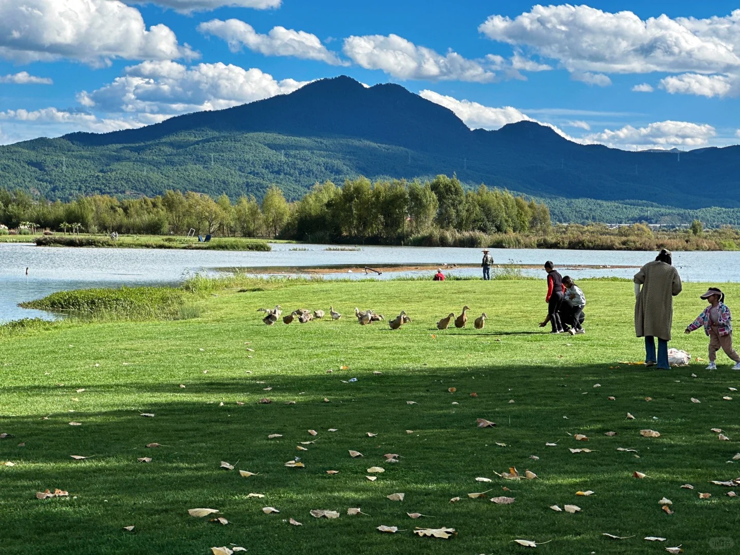 Lashi Lake is located in the west of Lijiang City. It is the first wetland nature reserve in Yunnan. It has beautiful lakes and mountains, and is home to many migratory birds. It is also a good place to experience tea-horse culture and rural scenery.
