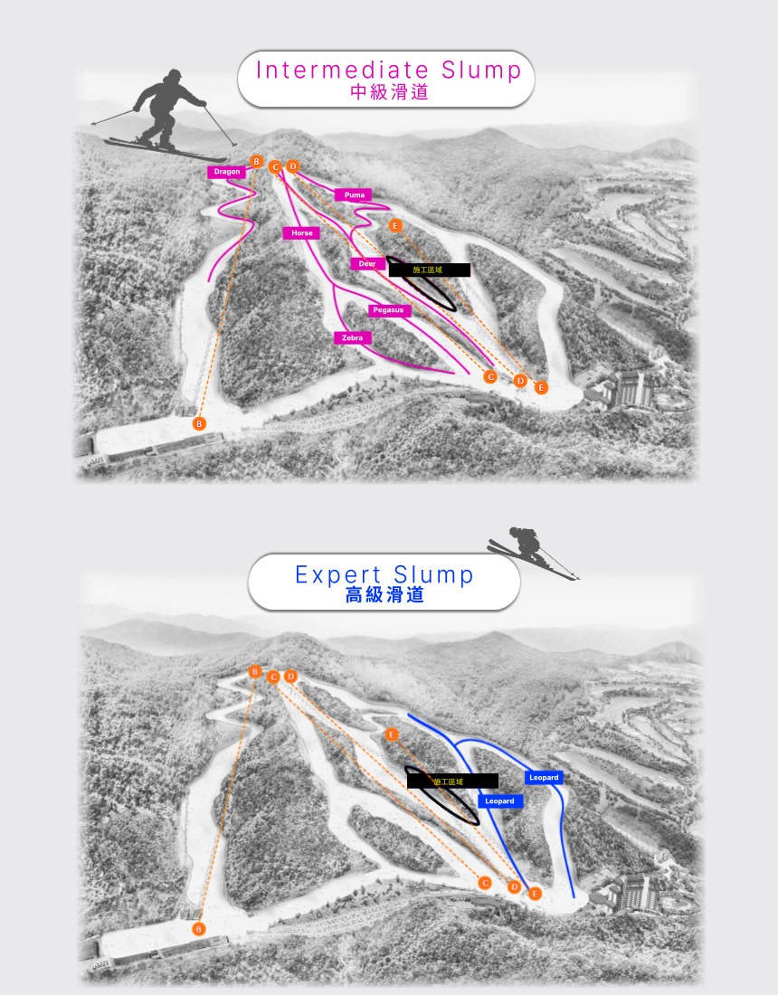 僅滑雪課程：Elysian Gangchon滑雪場 - 私人滑雪課程