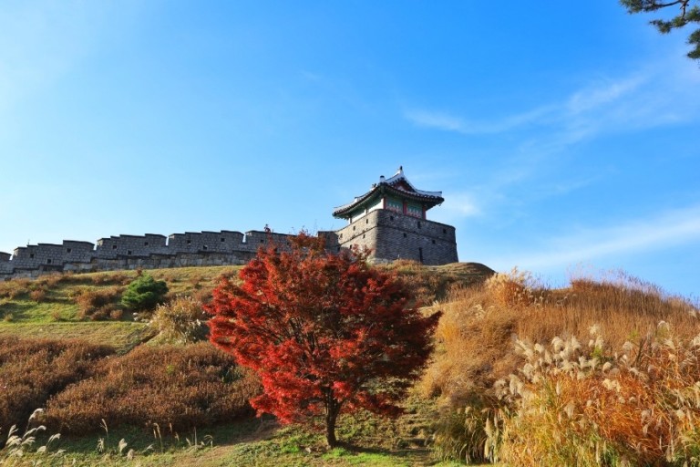 Suwon's Diverse History and Drama Private Tour From Seoul