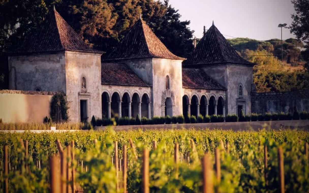 Full-Day Serra da Arrabida, Sesimbra & Setubal Wine Tour