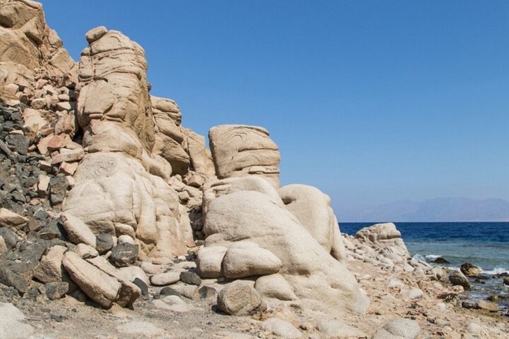 Safari by ATV Quad Bike Tour & Camel and Transfer - Sharm El Sheikh