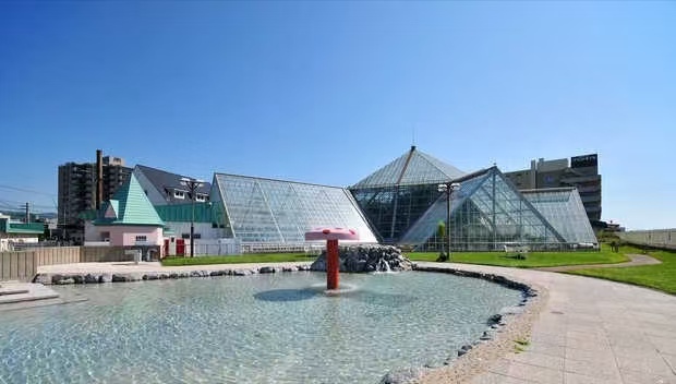 熱帶植物園遊覽：走進函館熱帶植物園，彷彿踏入了一個熱帶植物的王國。這裡收集了眾多來自世界各地的熱帶植物，讓您在寒冷的北海道也能感受到熱帶的風情。園內還有可愛的日本獼猴，冬季時它們會泡在溫泉中，憨態可掬的模樣令人忍俊不禁，為您的旅程增添一份別樣的樂趣。