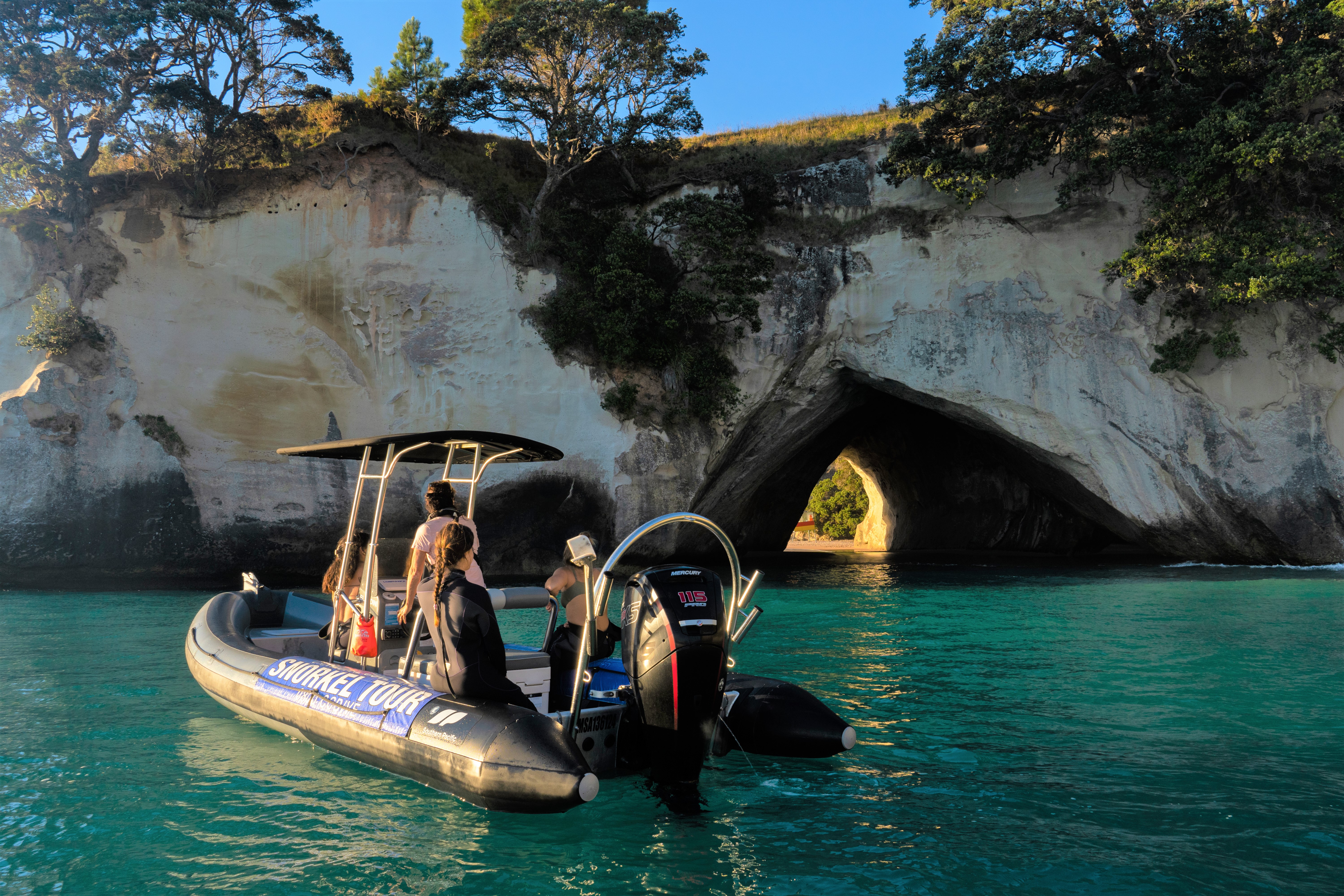 Half-Day Dive Trip in Hahei with PADI Dive Center