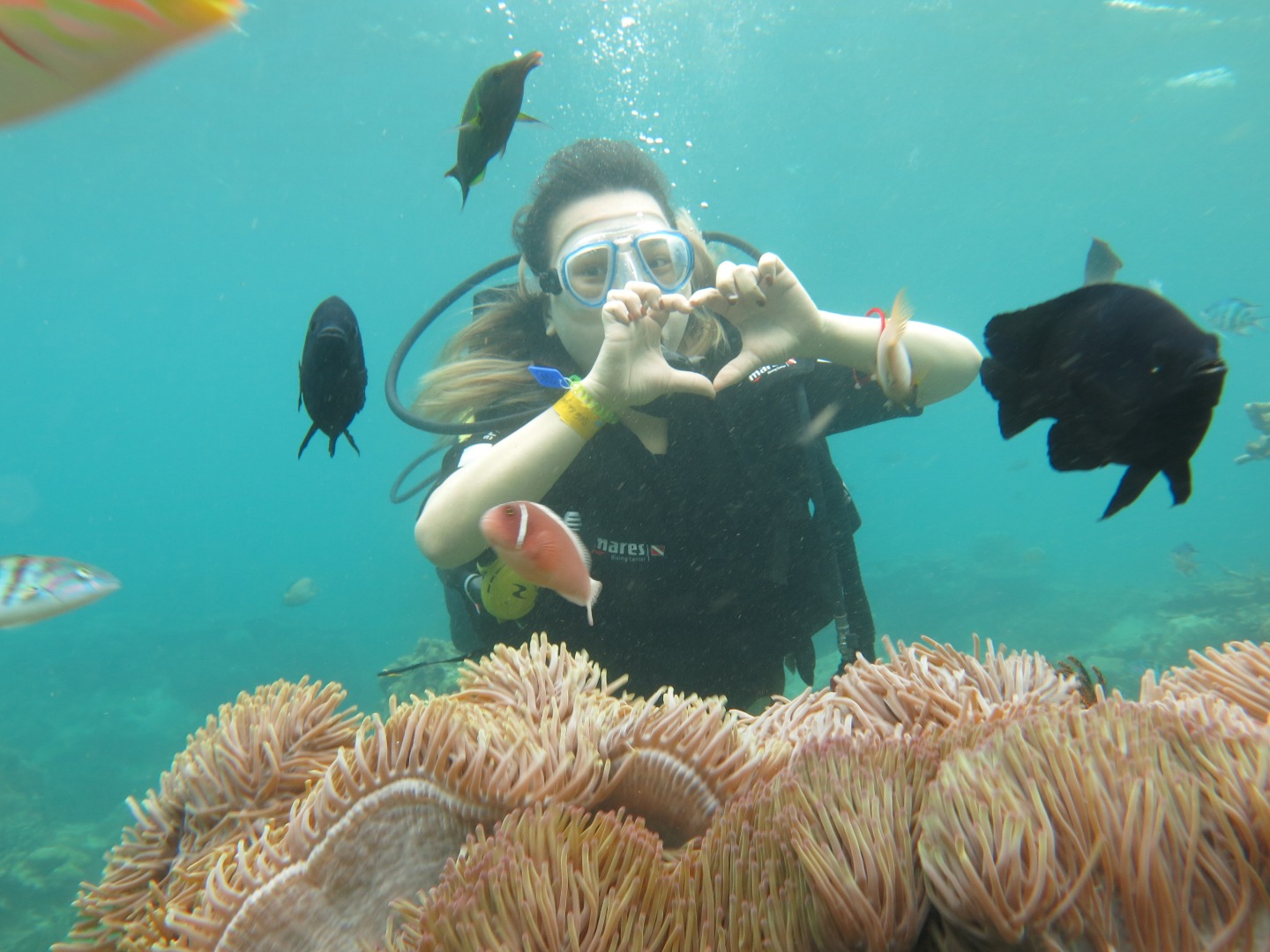 木島珊瑚礁水肺潛水體驗（芽莊出發）