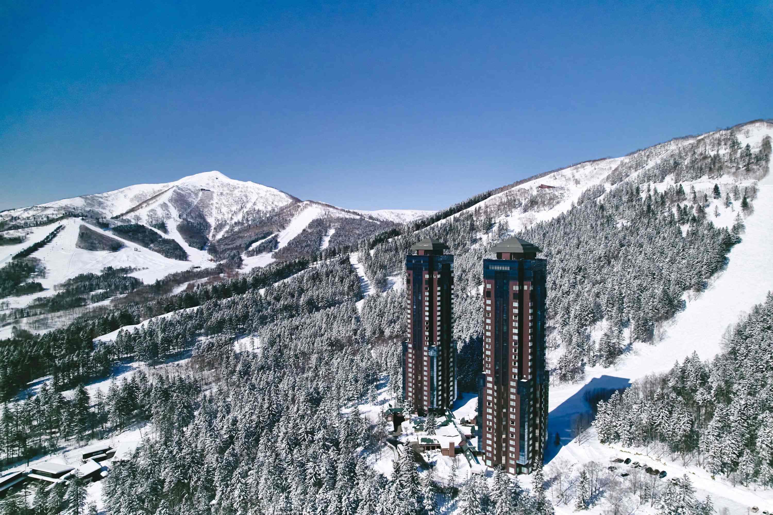 北海道粉雪地帶5日票+阿伊努博物館導覽