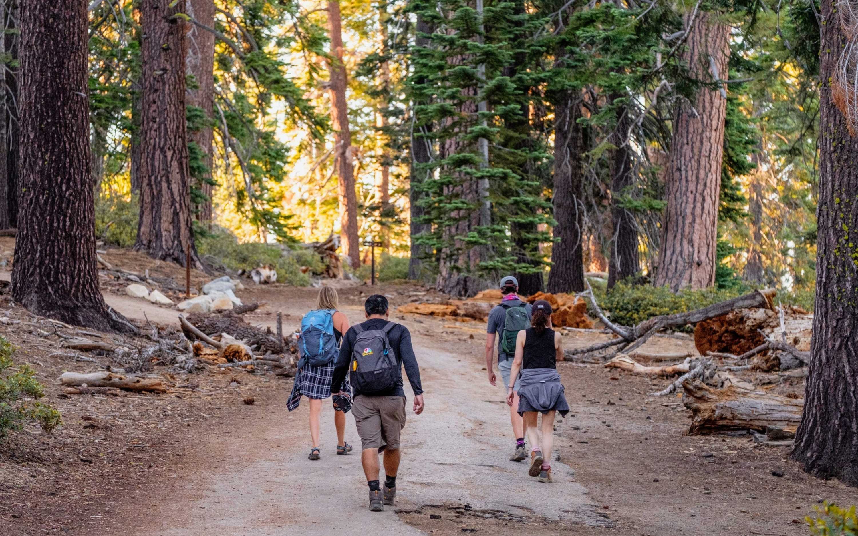 與好友一同漫步在陽光灑落的小徑上,周圍環繞著優勝美地標誌性的參天松樹。 與好友一同漫步在陽光灑落的小徑上,周圍環繞著優勝美地標誌性的參天松樹。