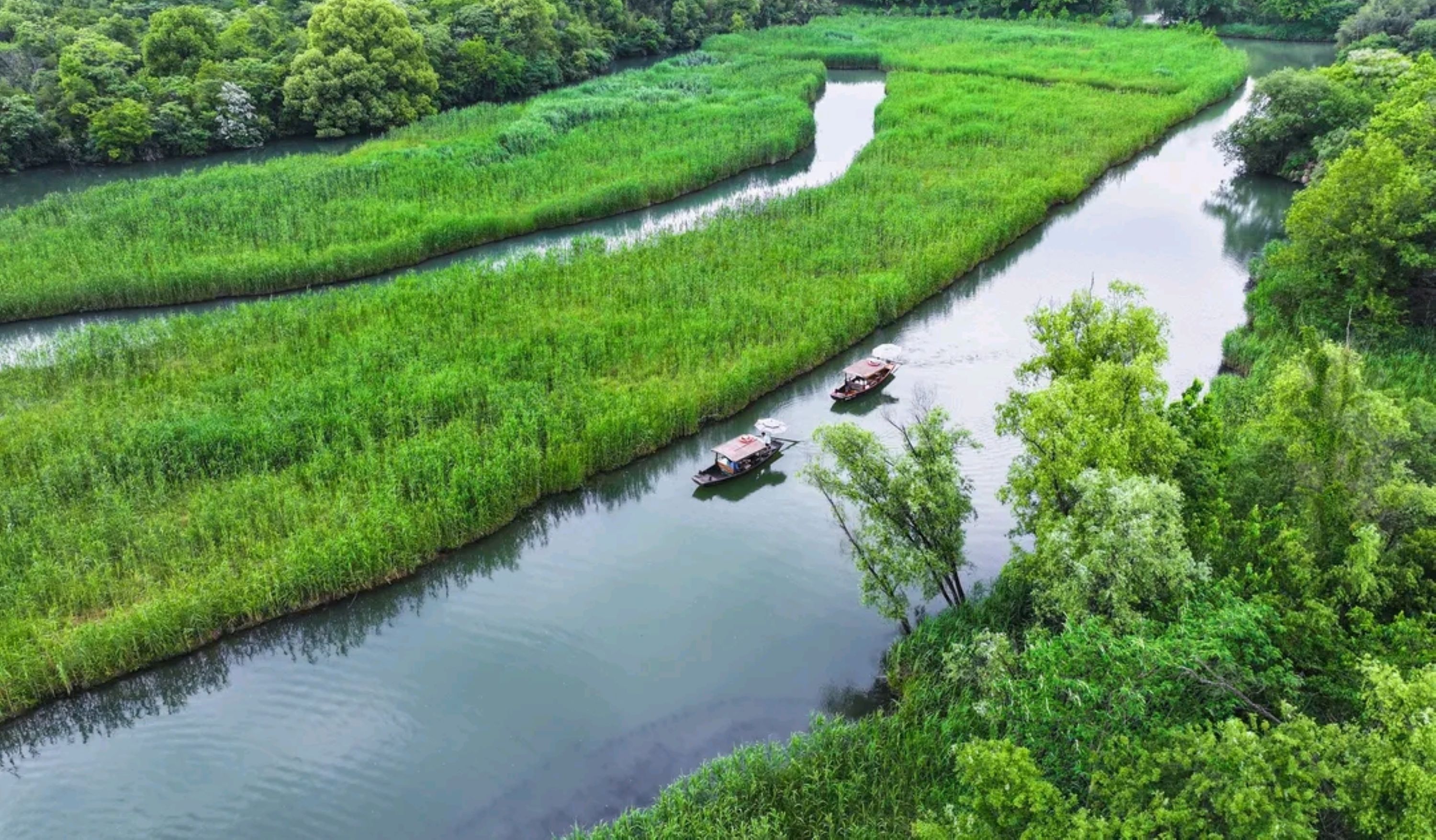 河道上兩艘搖櫓船緩緩行駛,劃破平靜的水面 ,展現出溼地獨特的水鄉風貌,凸顯了人與自然和諧共處的美好畫面 河道上兩艘搖櫓船緩緩行駛,劃破平靜的水面 ,展現出溼地獨特的水鄉風貌,凸顯了人與自然和諧共處的美好畫面