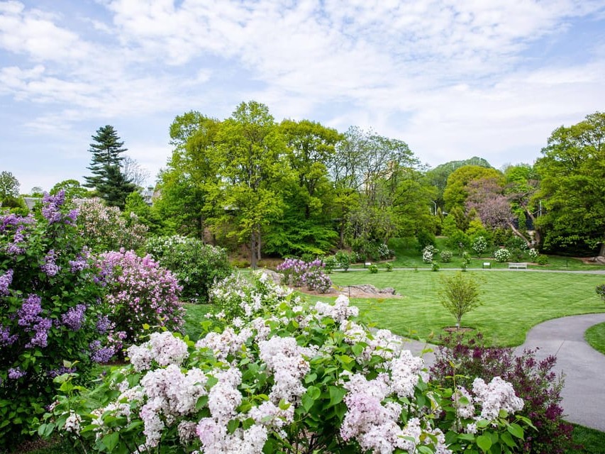 紐約植物園門票