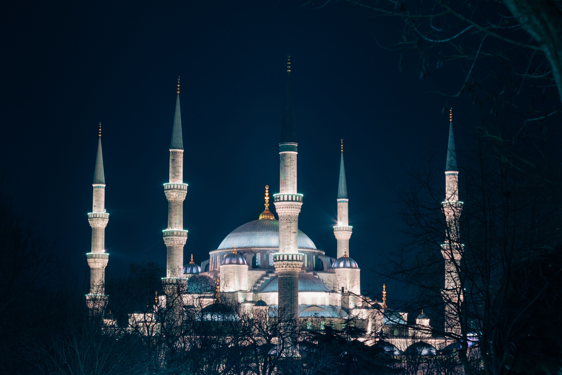 Blue Mosque night