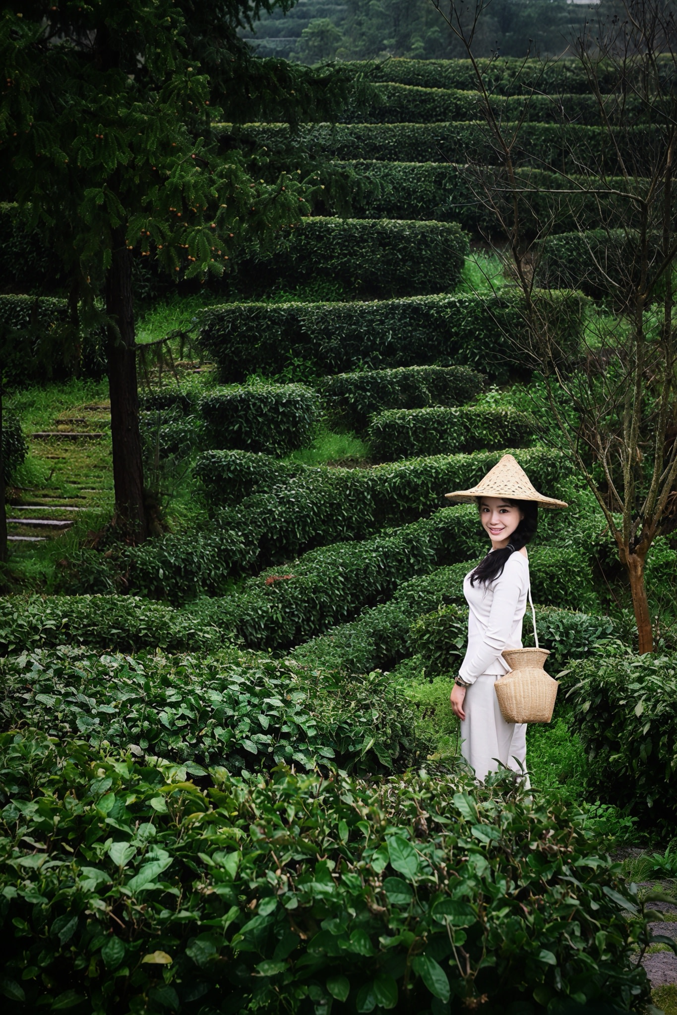Zhangjiajie Tea Picking & Making, Fruit Wine DIY, Baijiu Tasting
