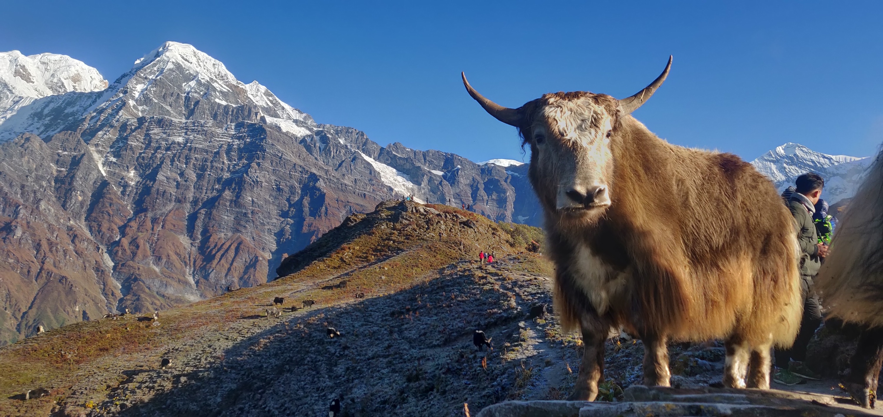 博卡拉：4天馬爾迪喜馬拉雅山徒步之旅