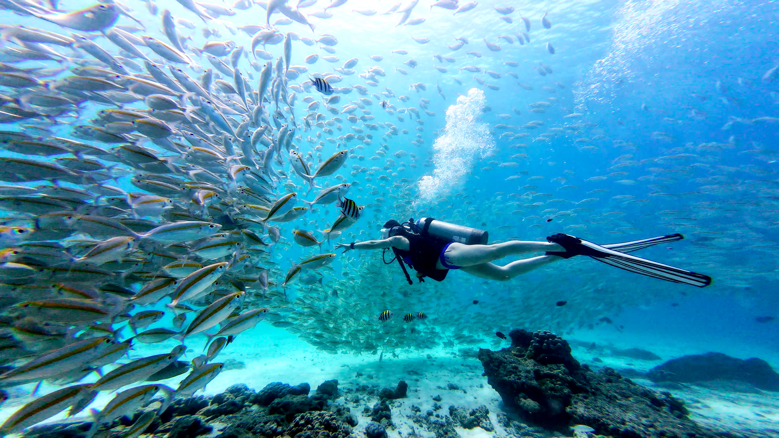 Scuba Diving Day Trip to Racha Yai & Racha Noi Islands in Phuket 