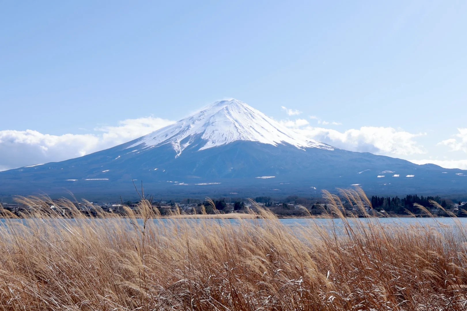 富士山經典必玩一日遊｜五合目&忍野八海&河口湖大石公園&山中湖｜ (東京站或新宿站出發)