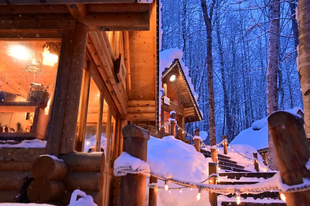 ニングルテラス・白金青い池・白ひげの滝 日帰りイルミネーションツアー（札幌発）