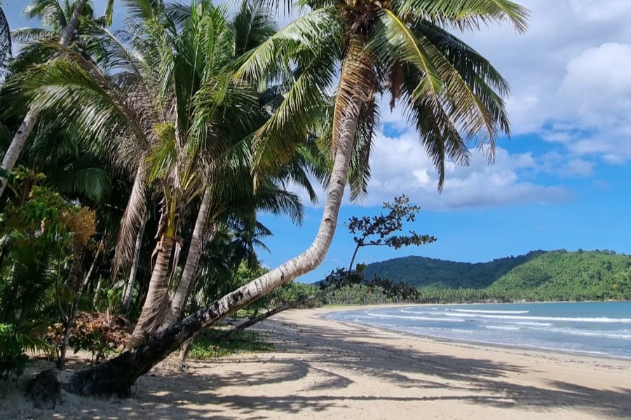 獨家愛妮島陸地遊（Happiness Philippines 提供）