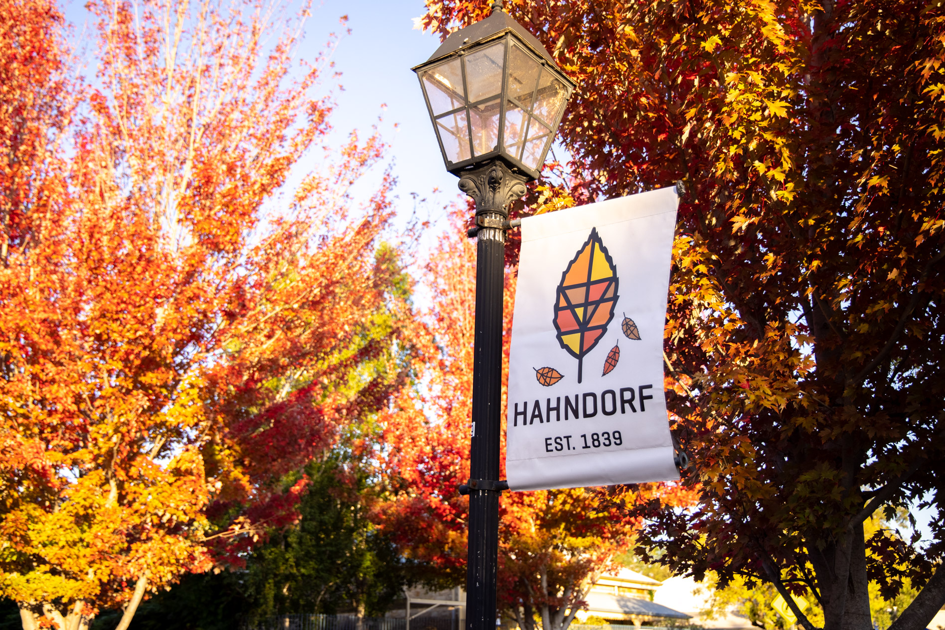 Strudel and Stroll Walking Tour in Hahndorf