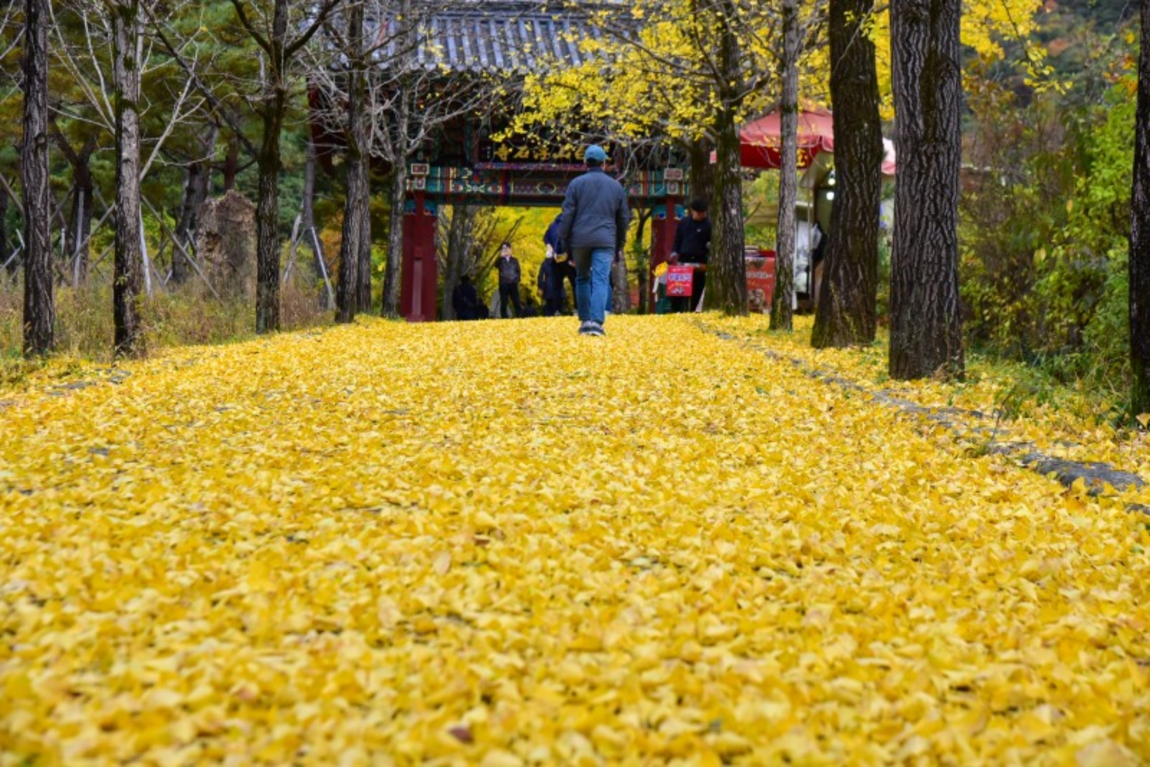 榮州浮石寺 & 紹修書院一日遊